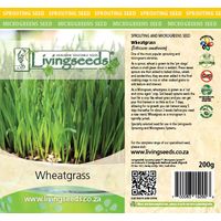 Living Seeds Wheatgrass Sprouting & Microgreen Seeds